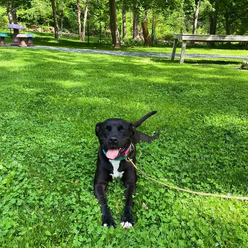 Jude