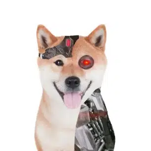 AI