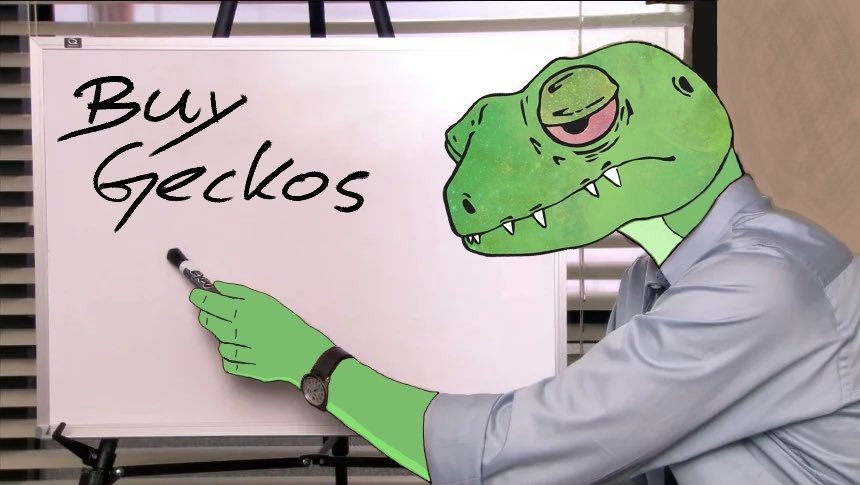 GECKOS