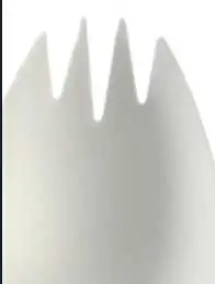 SPORK