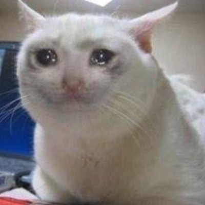 CryingCat