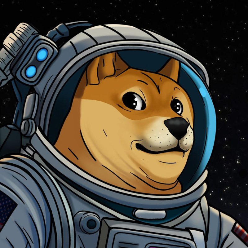DOGE-1