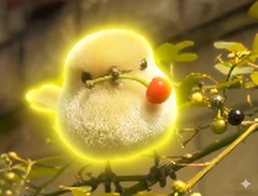 POM-POM