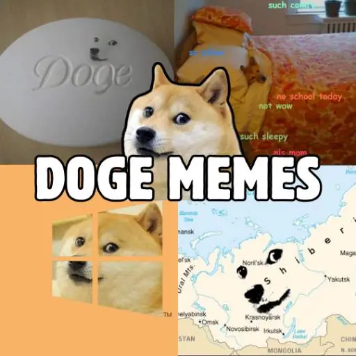 DOGE
