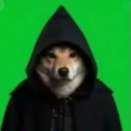 DIC