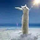 LOOOOOOOOOOOOOOOOOOOOOOOOOOOOOOOOOOOOOOOOOOOOOOOOOOOOOOOOOOOOOOO