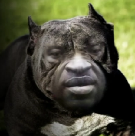 FLOYDOGE