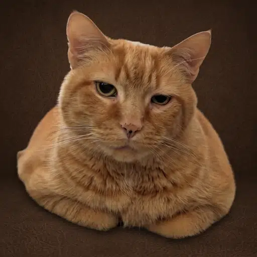 GUS