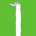 Loooongcat