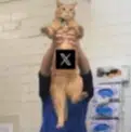 URUMI