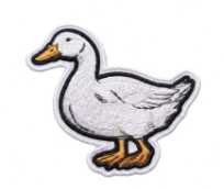 DUCK