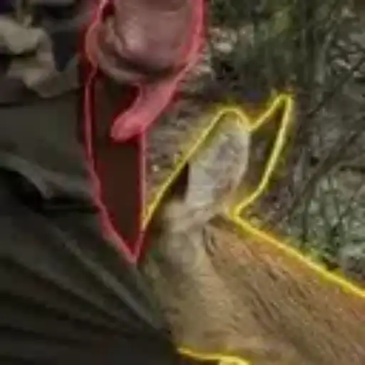 Голди