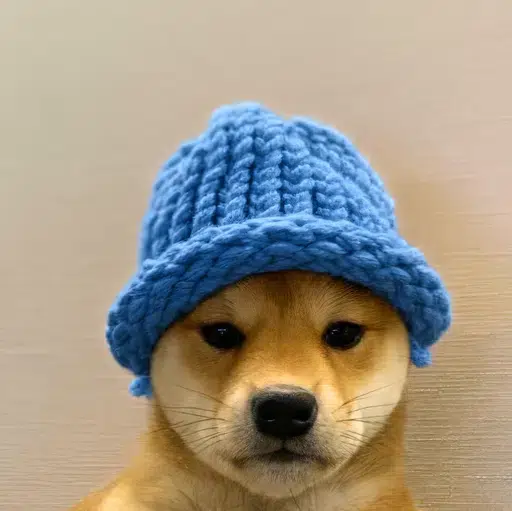 DOGWIF