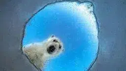 Icy Window