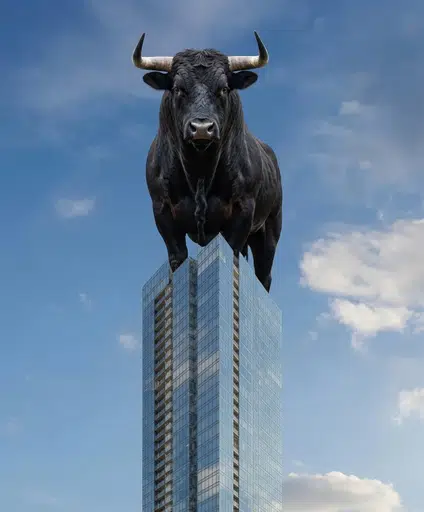 TOPBULL