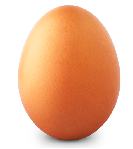 EGG
