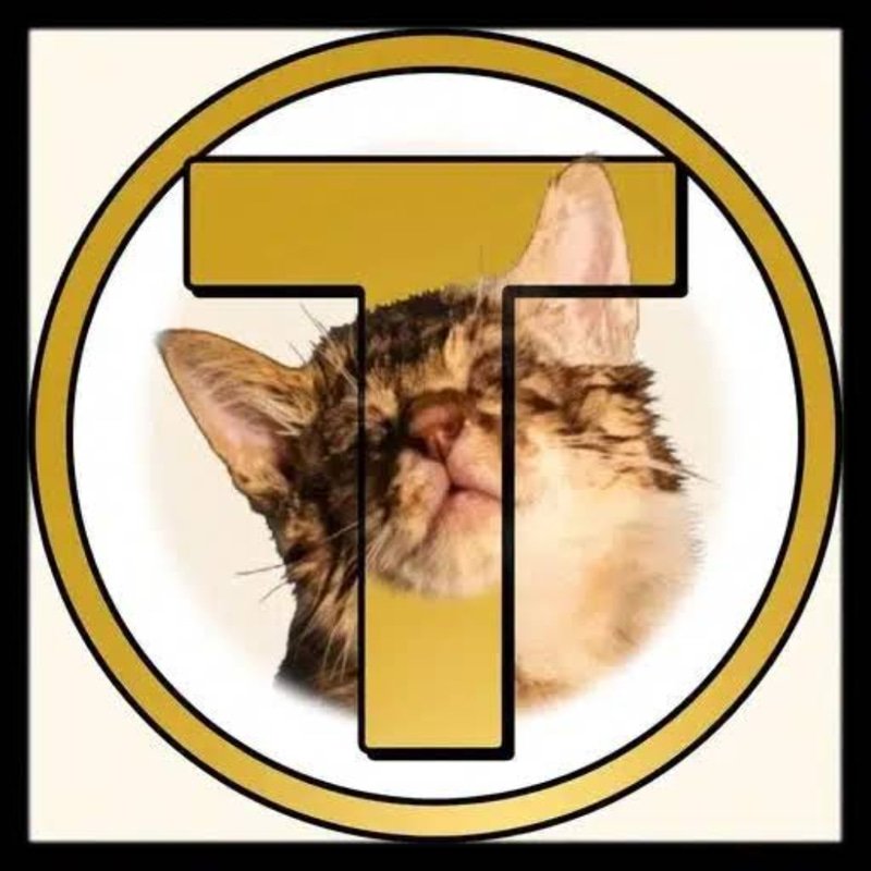 TSU logo