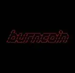 burncoin