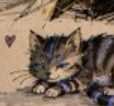 KITTEN
