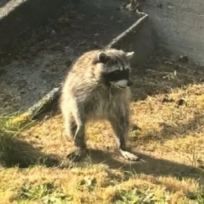 JIMOTHY