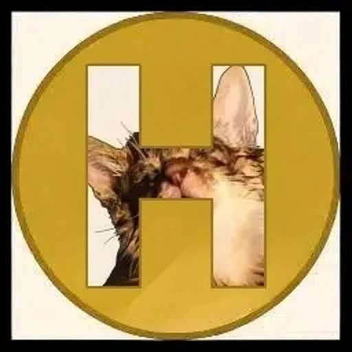 HOKI logo