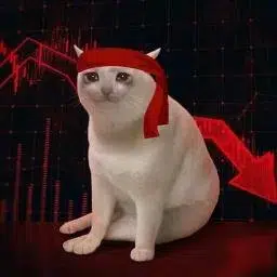 crashcat — recently traded by Theo on Solana
