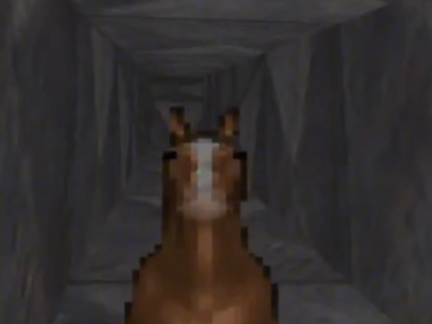 horse