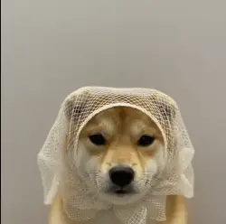 DIN