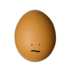 EGGE logo