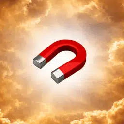 Magnet
