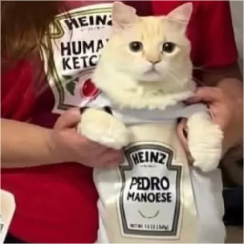 Pedro