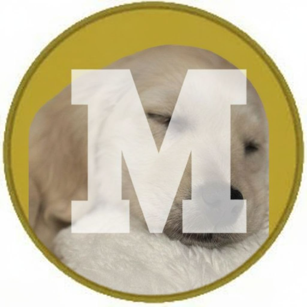 MATILDA