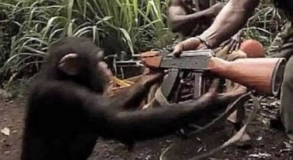 APE-K47