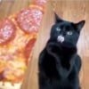 PIZA