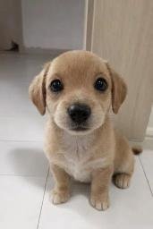 Tilly