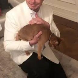Schrödinger