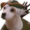 WISHBONE