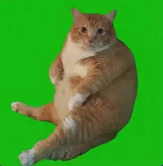 Chonk