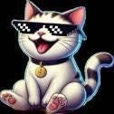 CatFi