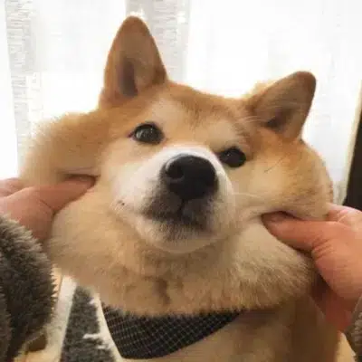 awkchan666
