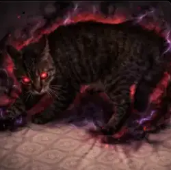 KAYA