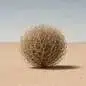 TUMBLEWEED
