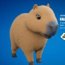 CAPY