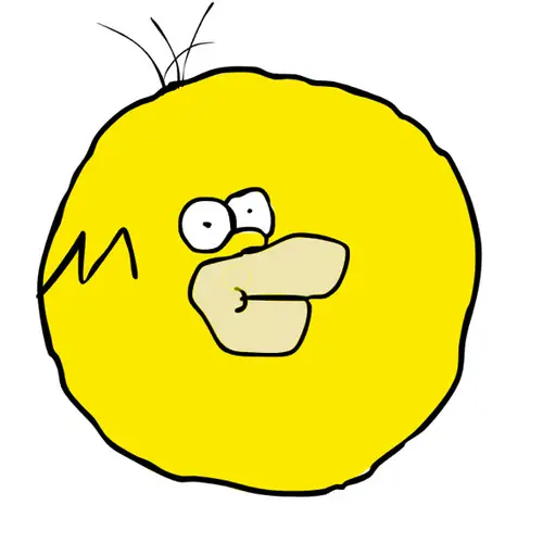 HOMER