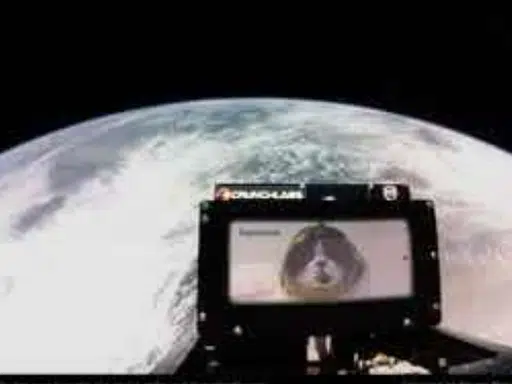 spacecat