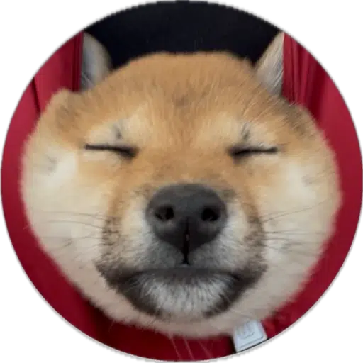SAN