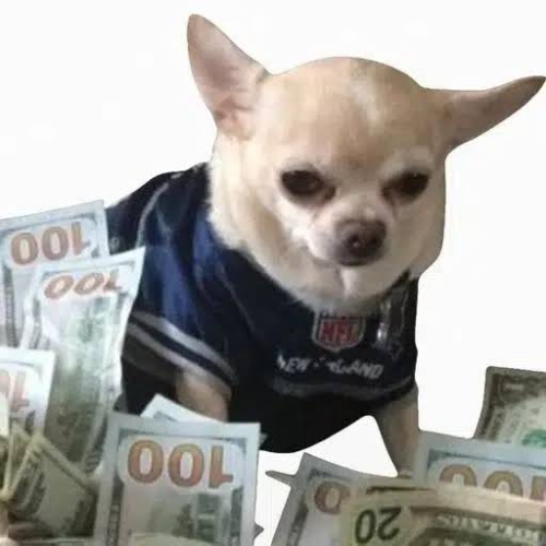$moneydog token logo