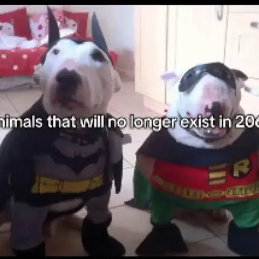 2067 logo