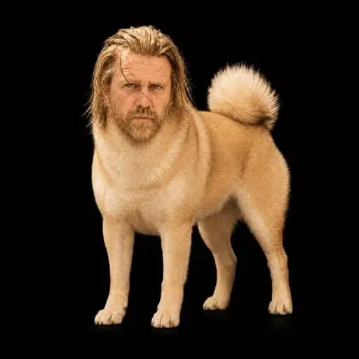 CARL