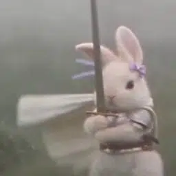 $swordbunny token logo